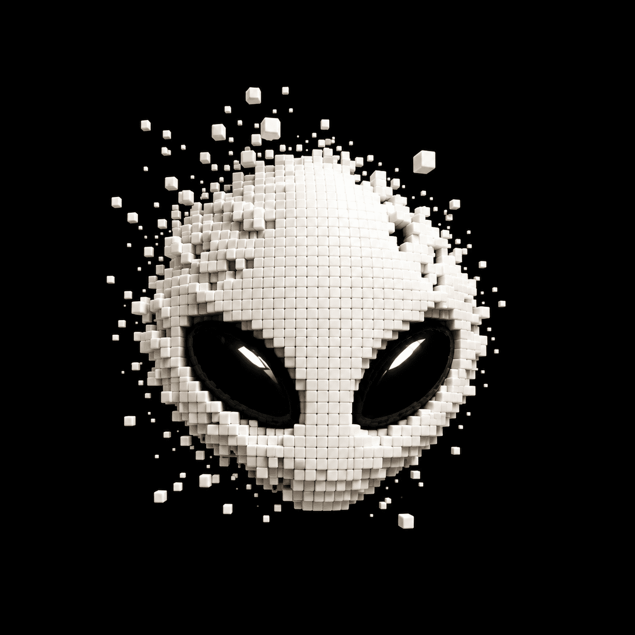 Official VOID PFP